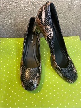 Donald J. Pliner Black and Brown Snake-Print Pumps
